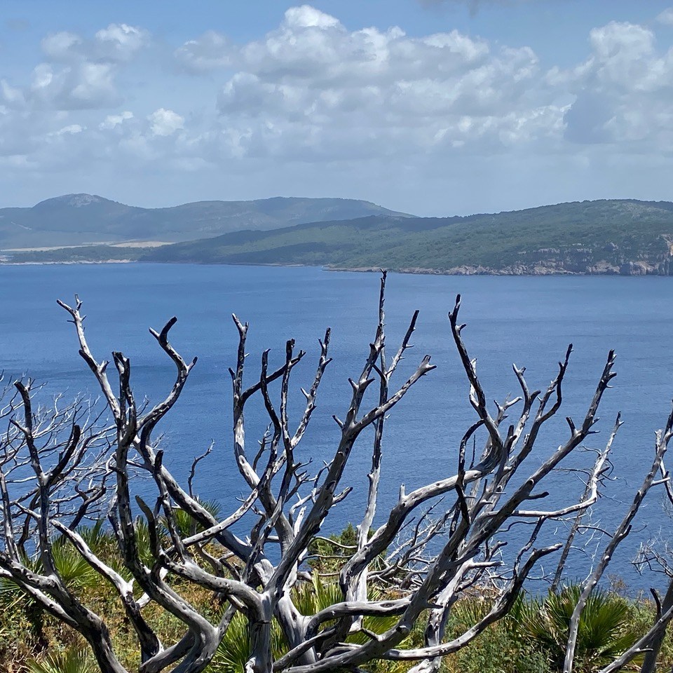 Island of Sardinia, 2026