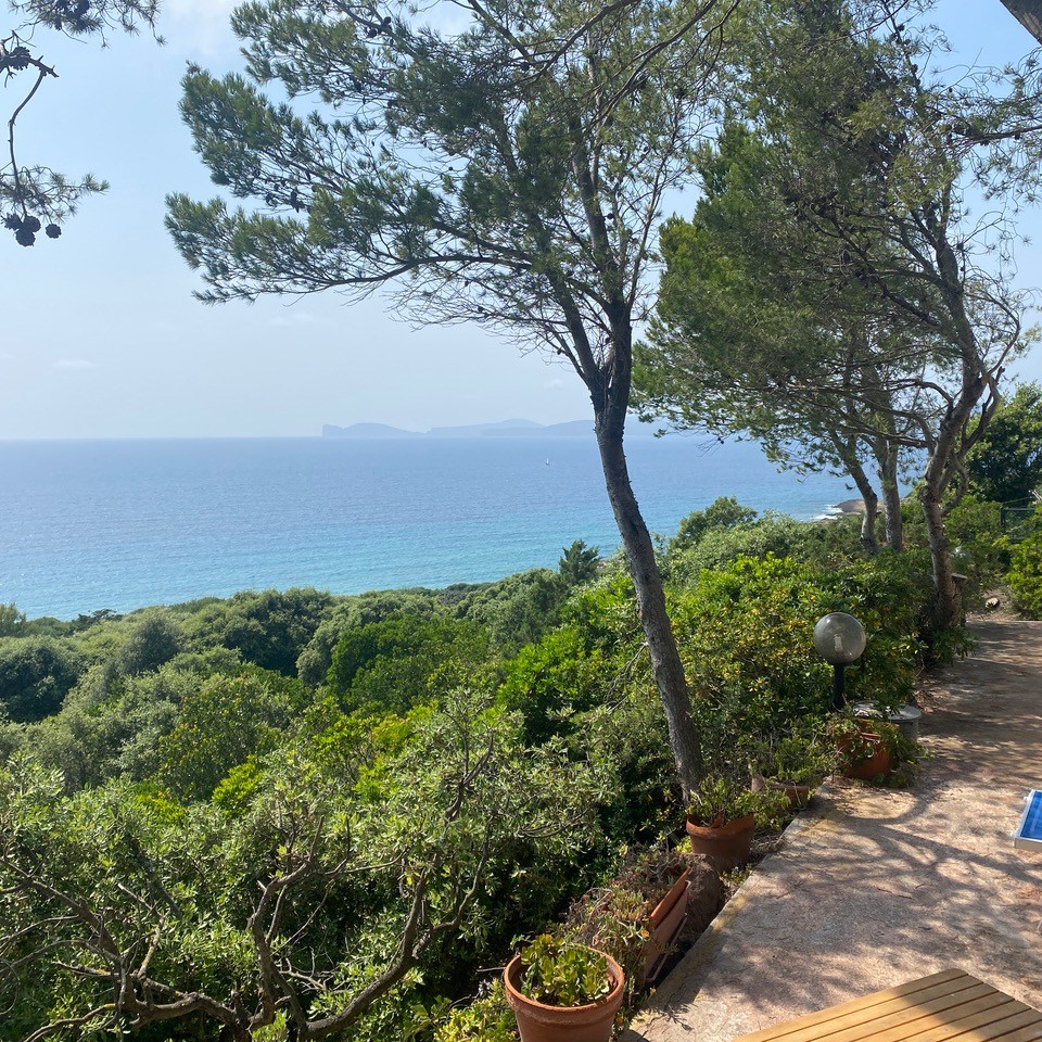 Island of Sardinia, 2026